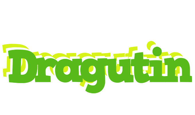 Dragutin picnic logo