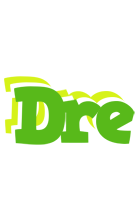 Dre picnic logo