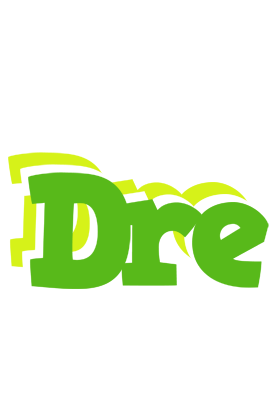 Dre picnic logo