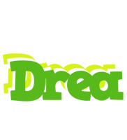 Drea picnic logo