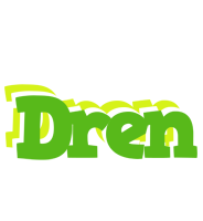 Dren picnic logo