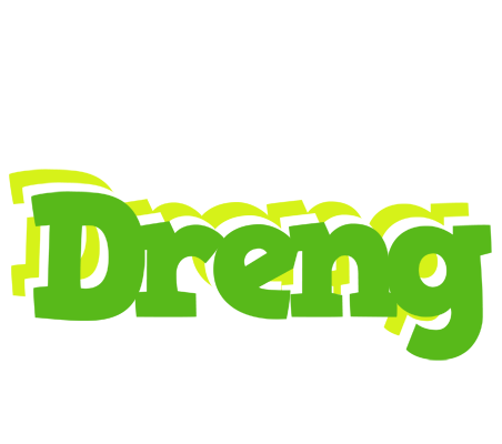 Dreng picnic logo