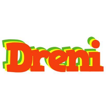Dreni bbq logo