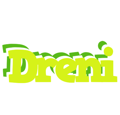 Dreni citrus logo