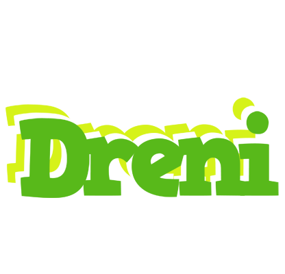 Dreni picnic logo