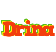 Drina bbq logo