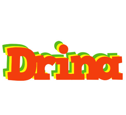 Drina bbq logo
