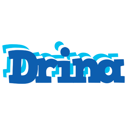 Drina business logo