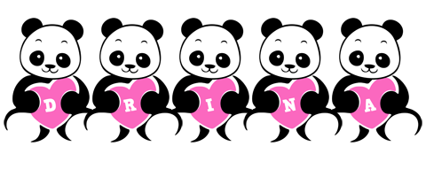 Drina love-panda logo