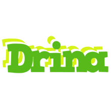 Drina picnic logo