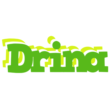 Drina picnic logo
