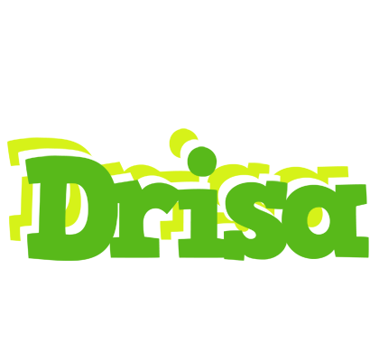 Drisa picnic logo