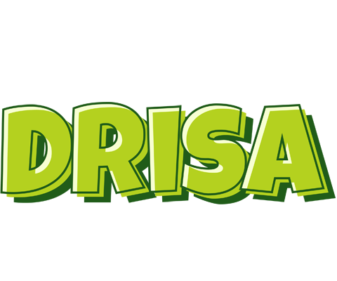 Drisa summer logo