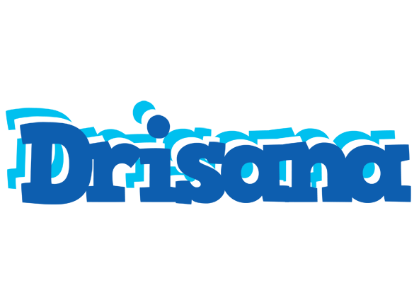 Drisana business logo