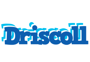 Driscoll business logo