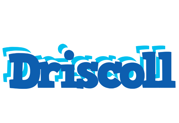 Driscoll business logo