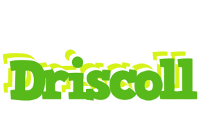 Driscoll picnic logo