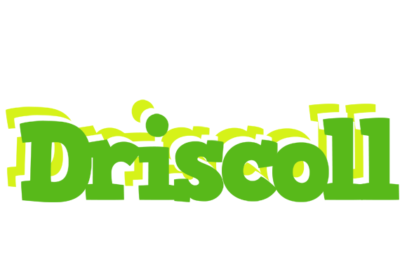 Driscoll picnic logo