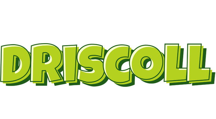 Driscoll summer logo