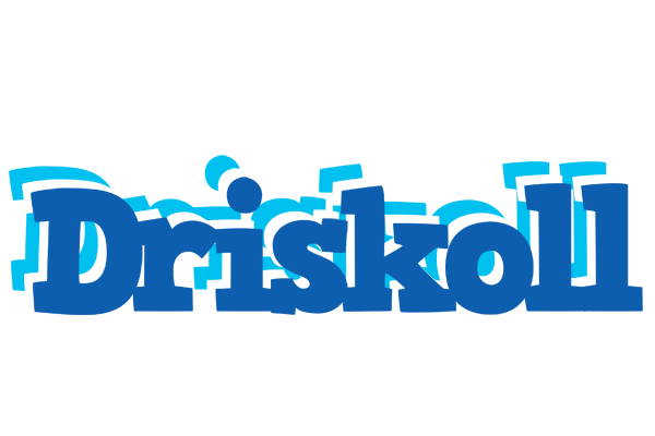 Driskoll business logo