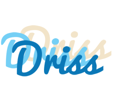 Driss breeze logo
