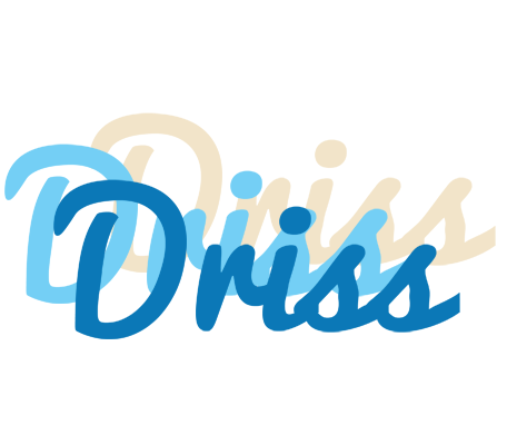 Driss breeze logo