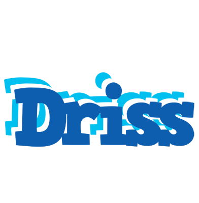 Driss business logo