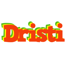 Dristi bbq logo