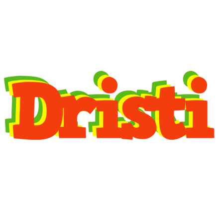 Dristi bbq logo