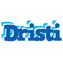 Dristi business logo