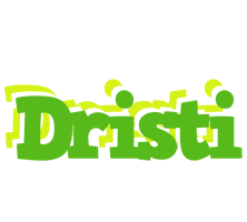 Dristi picnic logo