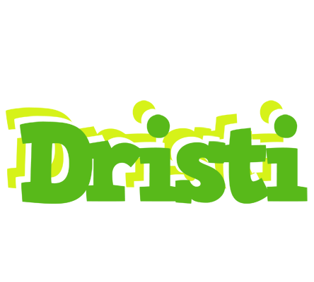 Dristi picnic logo
