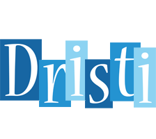 Dristi winter logo