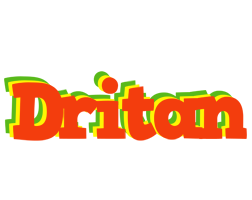 Dritan bbq logo