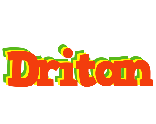 Dritan bbq logo