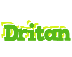 Dritan picnic logo