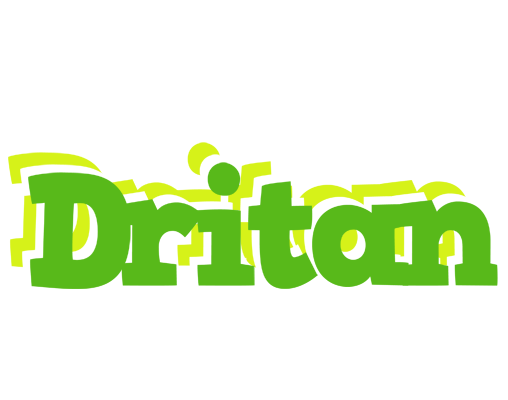 Dritan picnic logo
