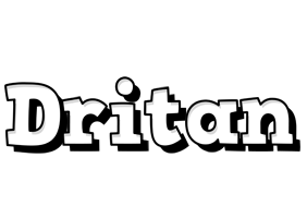 Dritan snowing logo