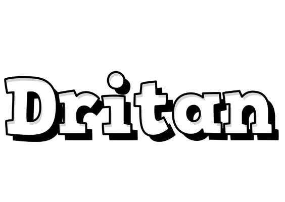 Dritan snowing logo