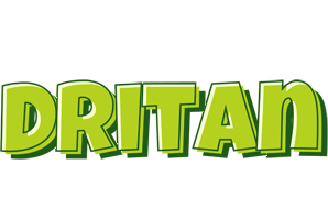 Dritan summer logo