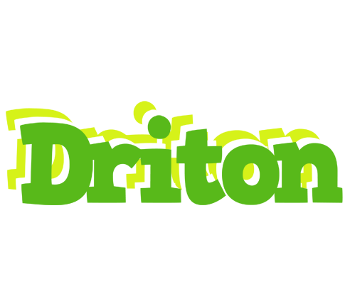 Driton picnic logo