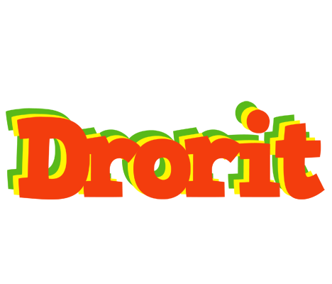 Drorit bbq logo
