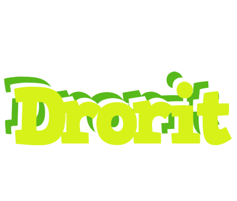 Drorit citrus logo