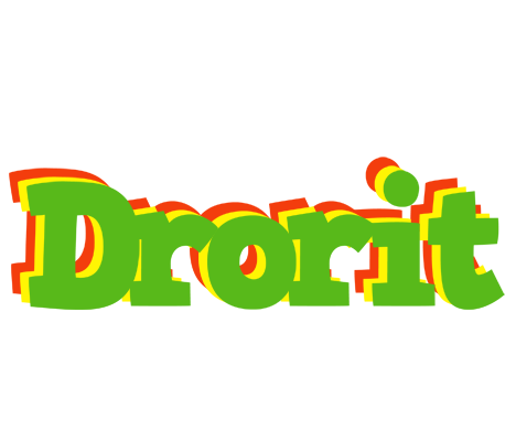 Drorit crocodile logo