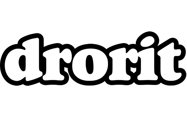 Drorit panda logo