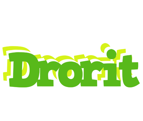Drorit picnic logo