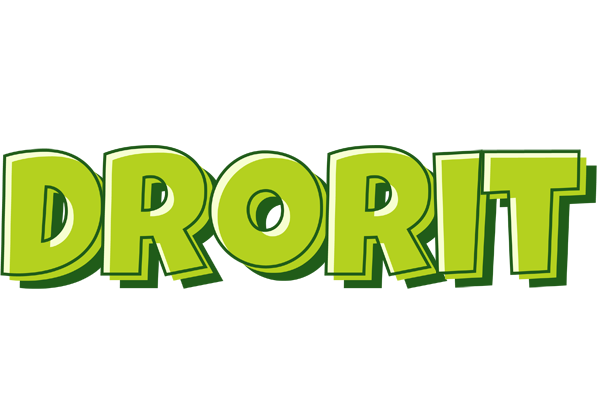 Drorit summer logo