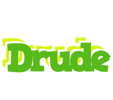 Drude picnic logo