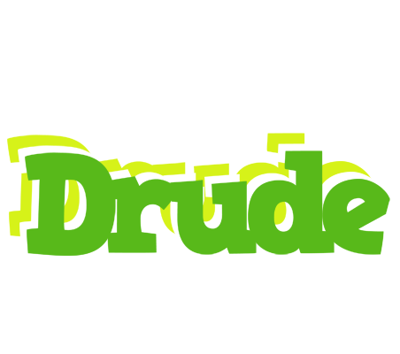 Drude picnic logo