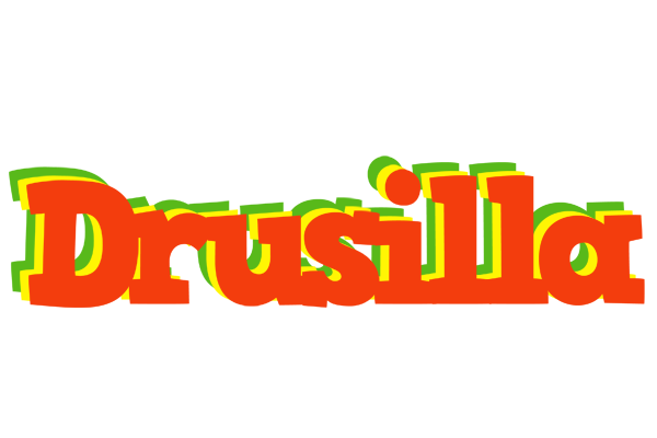 Drusilla bbq logo